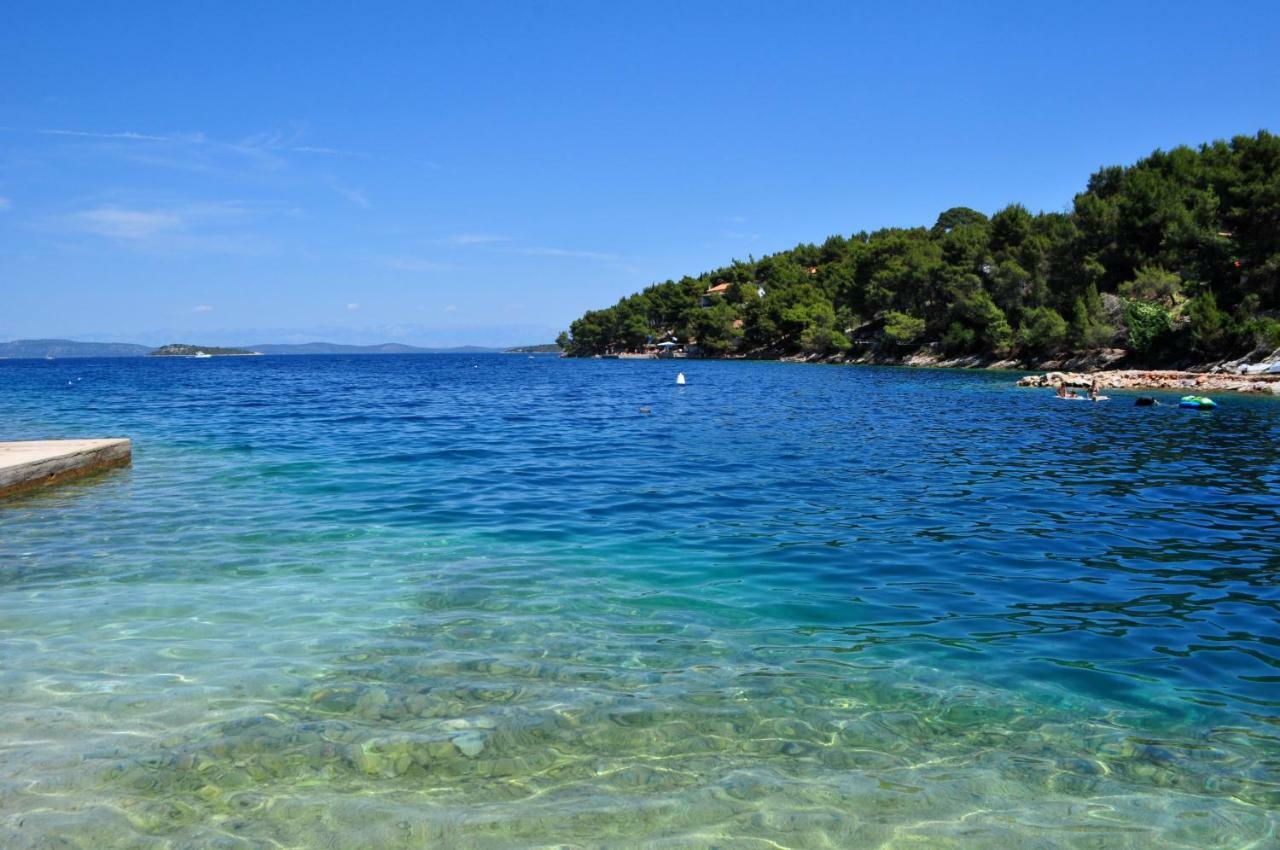 Bay Sascica Sali